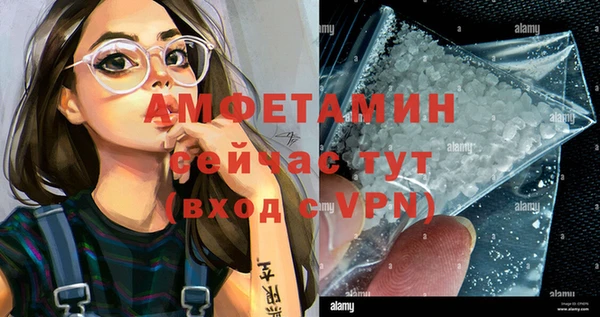 стафф Алзамай