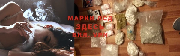 стафф Алзамай