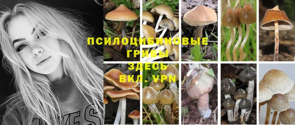Альфа ПВП Алексин