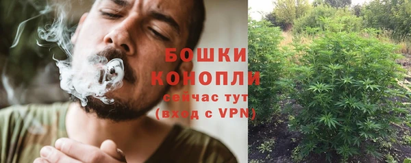 дмт Арсеньев
