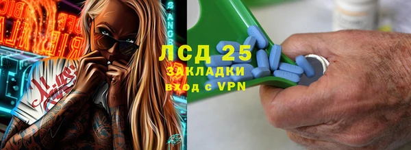 винт Пересвет